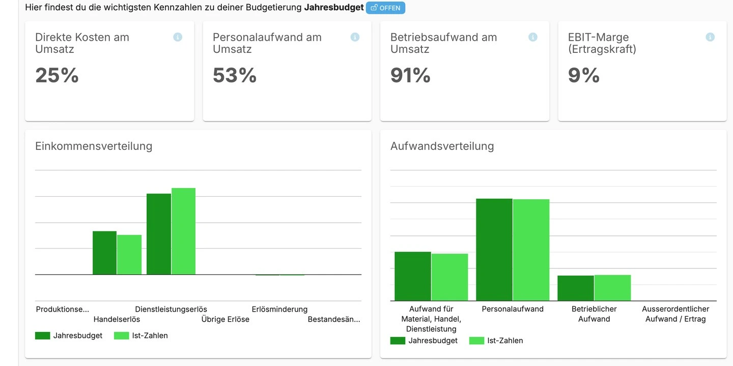 Dashboard in VisualNumbers: direkte Kosten, Personalaufwand und Betriebsaufwand am Umsatz sowie die EBIT-Marge als Prozentwerte, darunter Einkommens- und Aufwandsverteilung als Balkendiagramme